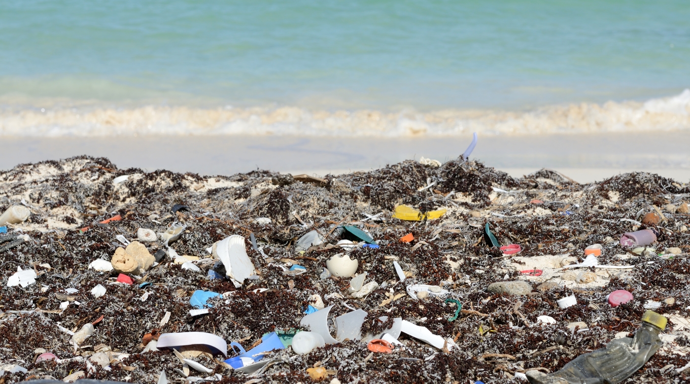 10 смешных учебных курсов, в существование которых сложно поверить