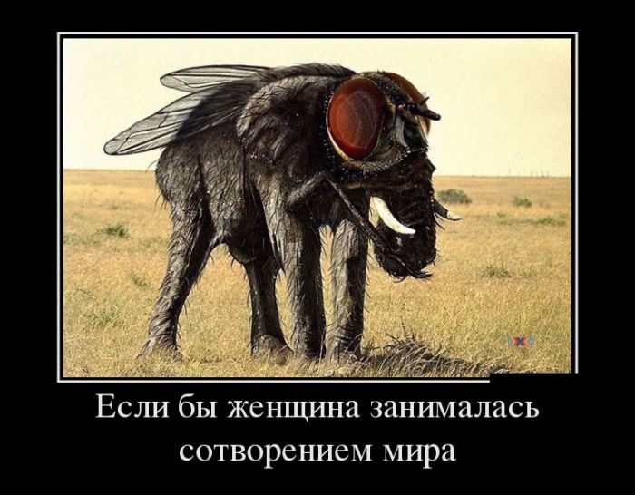 Демотиваторы