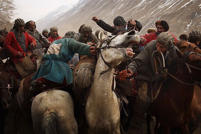 Подборка занимательных фото