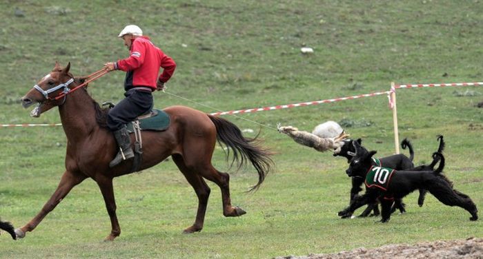 Церемония открытия Всемирных игр кочевников в Кыргызстане
