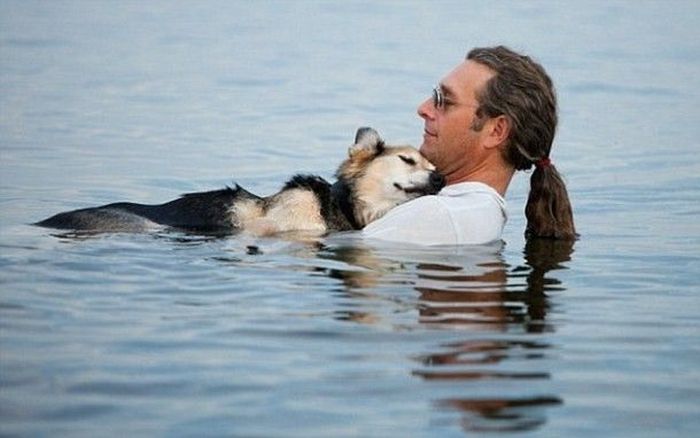 Трогательные истории о человеческой доброте Трогательные истории о человеческой доброте