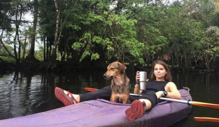 Девушки дурачатся