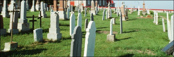 6 выдающихся историй о мелкой мести