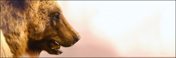 6 выдающихся историй о мелкой мести