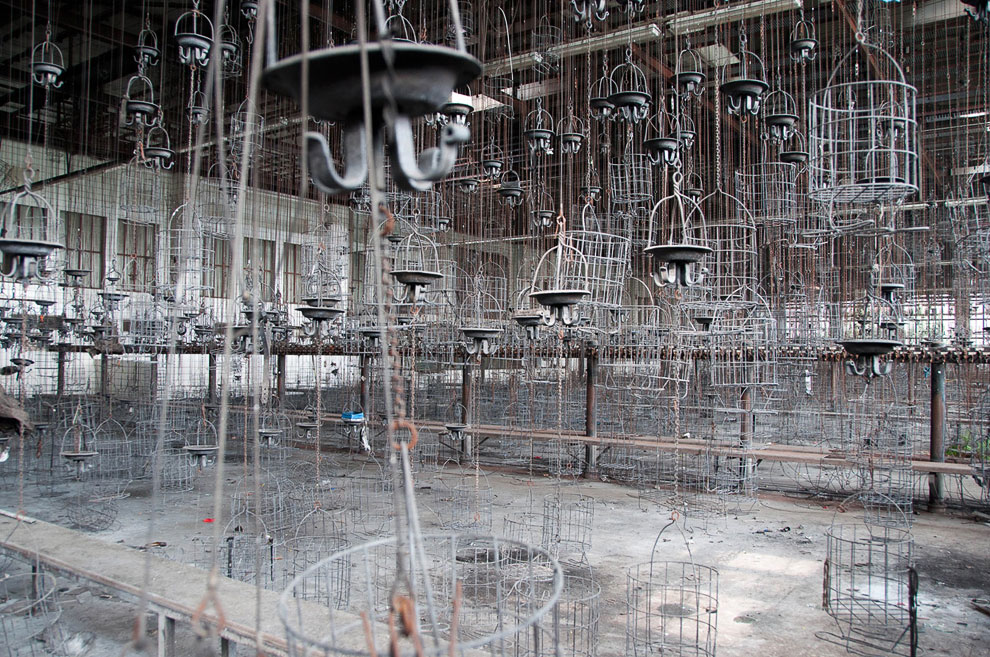 Приключения Серийного Нарушителя