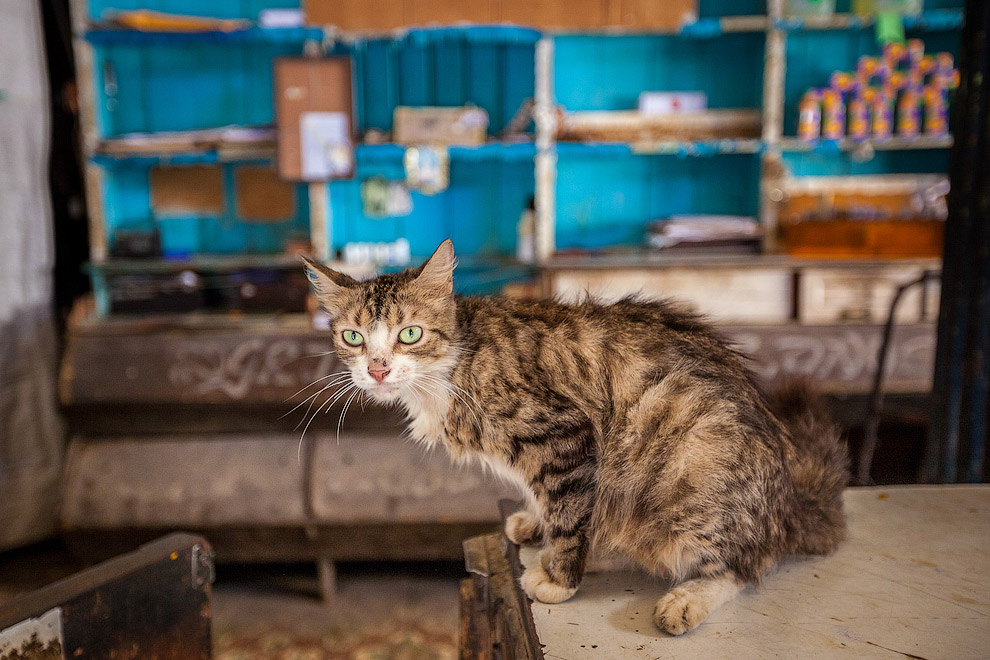 Там, где остановилось время