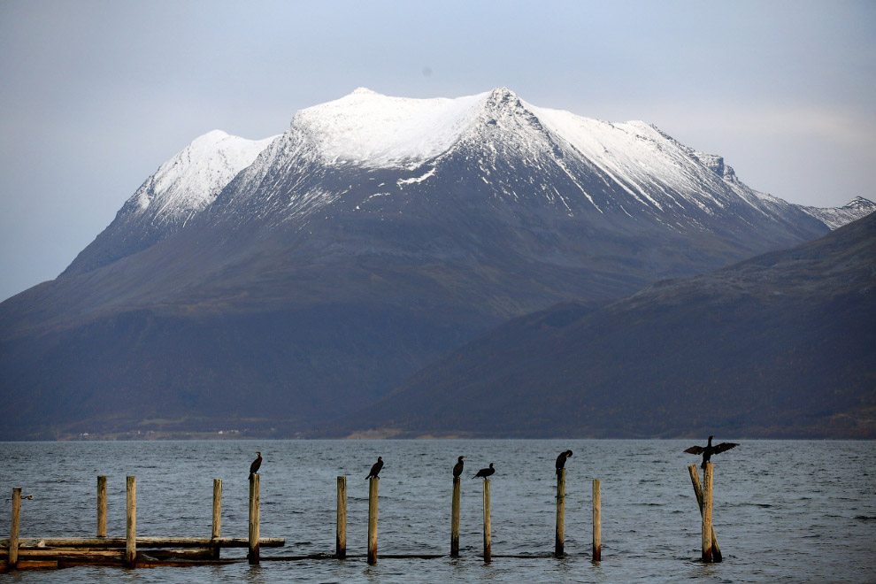 Северное сияние в Норвегии Северное сияние в Норвегии