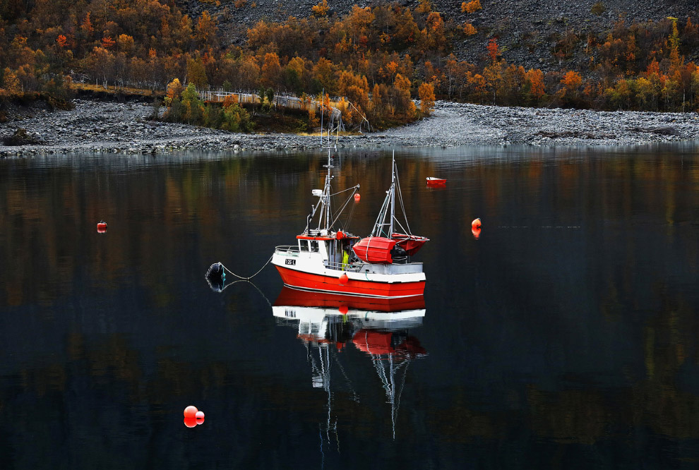 Северное сияние в Норвегии Северное сияние в Норвегии