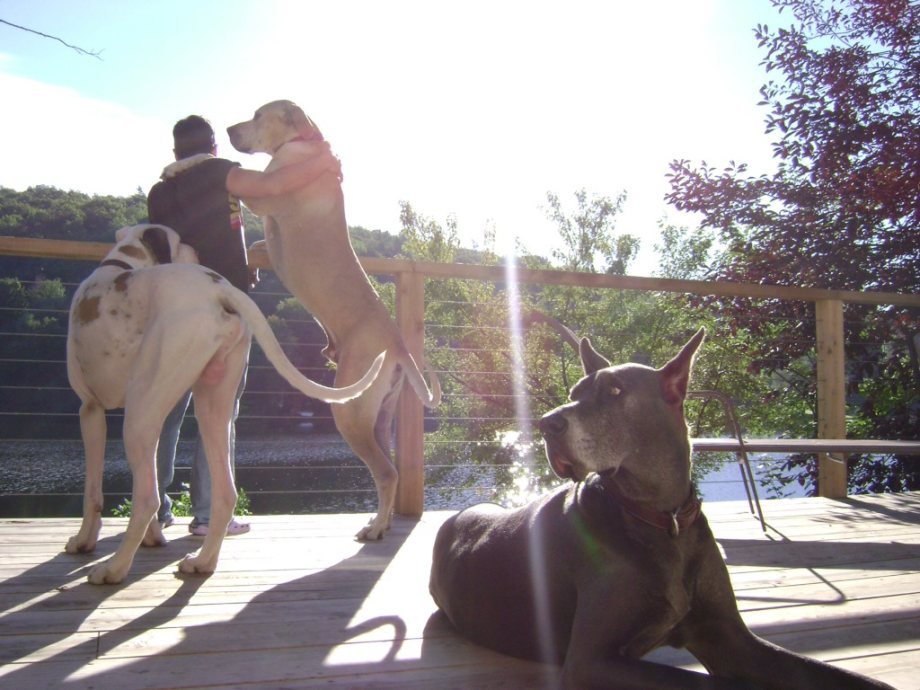 Жизнь - это круто!!! (31 фото)