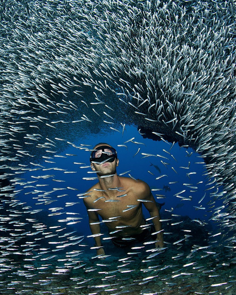 Жизнь - это круто!!! (31 фото)