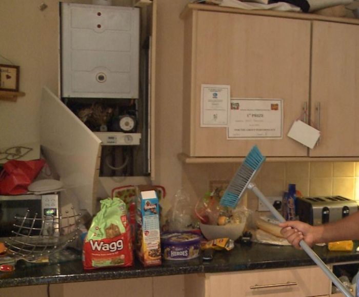 Сюрприз внутри водонагревателя (8 фото)