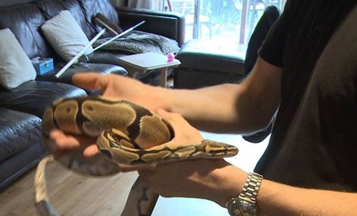 Сюрприз внутри водонагревателя (8 фото)