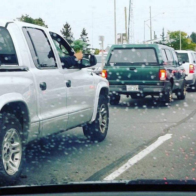 WTF: Что тут происходит?