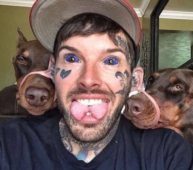 WTF: Что тут происходит?