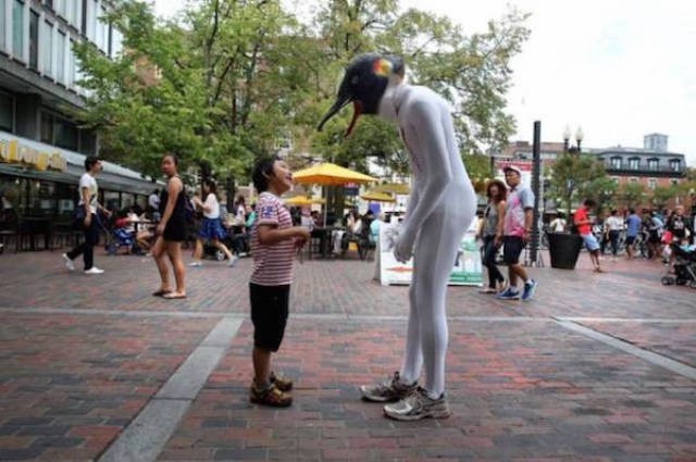 WTF: Что тут происходит?