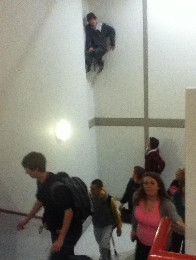 WTF: Что тут происходит?