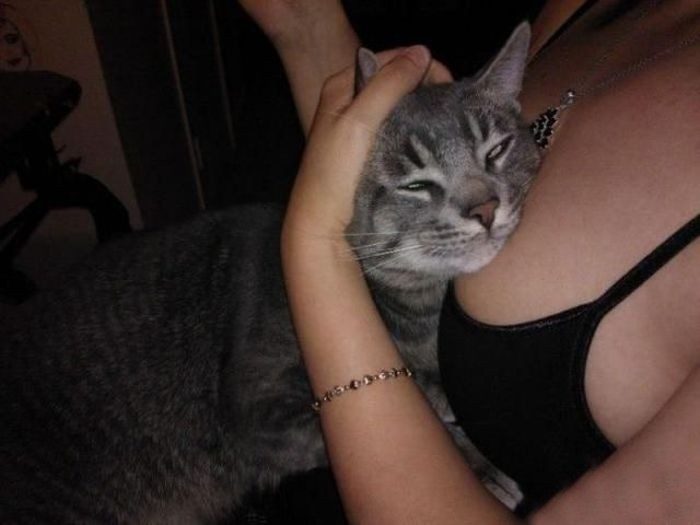 Соблазн тоже может быть забавным!