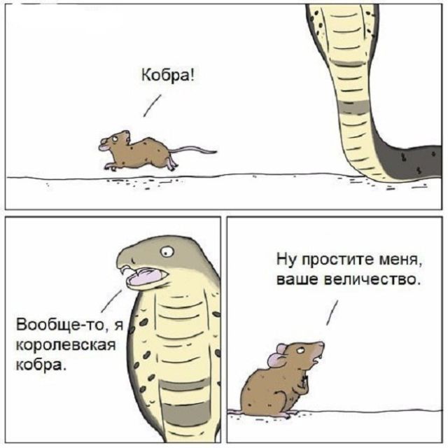 Смешные комиксы
