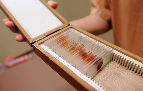 Мрачные приветы из светлого прошлого или самые жуткие находки, обнаруженные в «капсулах времени»