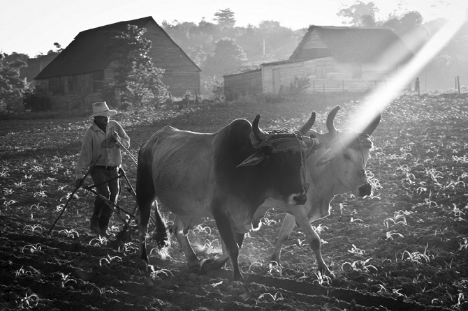 25 кадров, которые очаровали даже профессиональных фотографов
