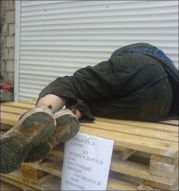 Порция картинок