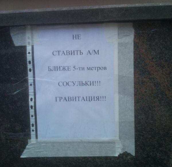 Порция картинок