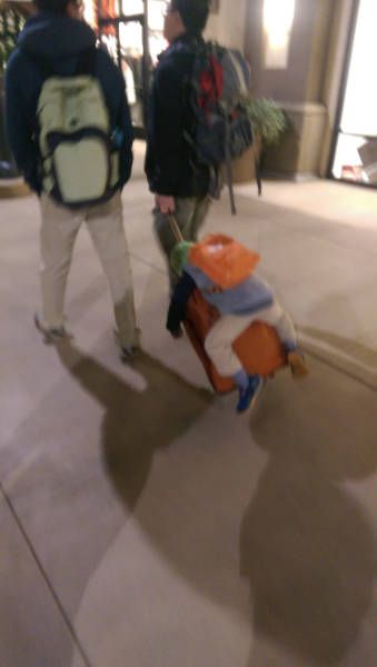 Порция картинок