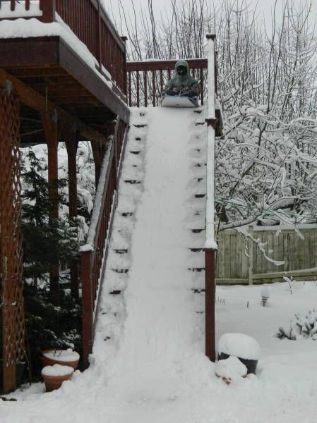 Порция картинок