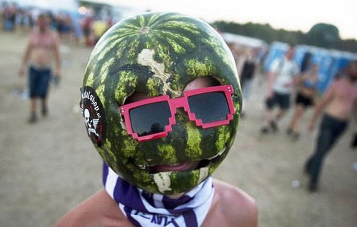 Порция картинок