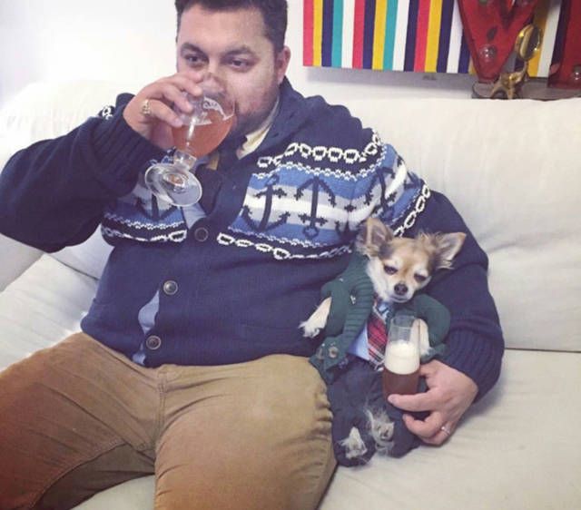 Порция картинок