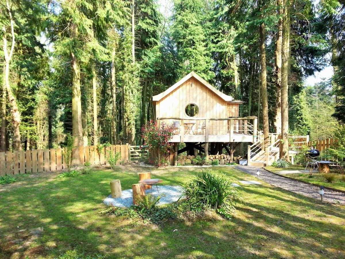 Крошечный деревянный дом-«скворечник» посреди леса в Англии