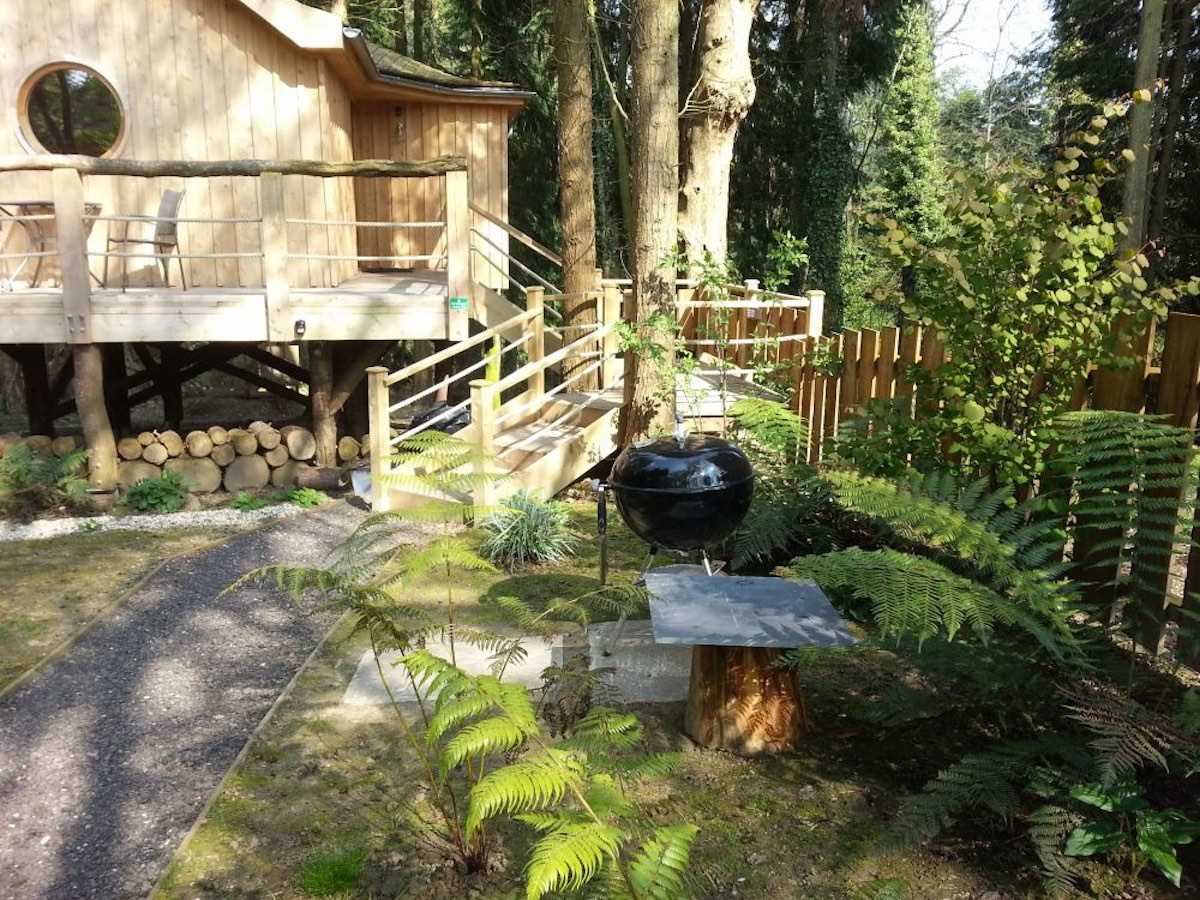 Крошечный деревянный дом-«скворечник» посреди леса в Англии