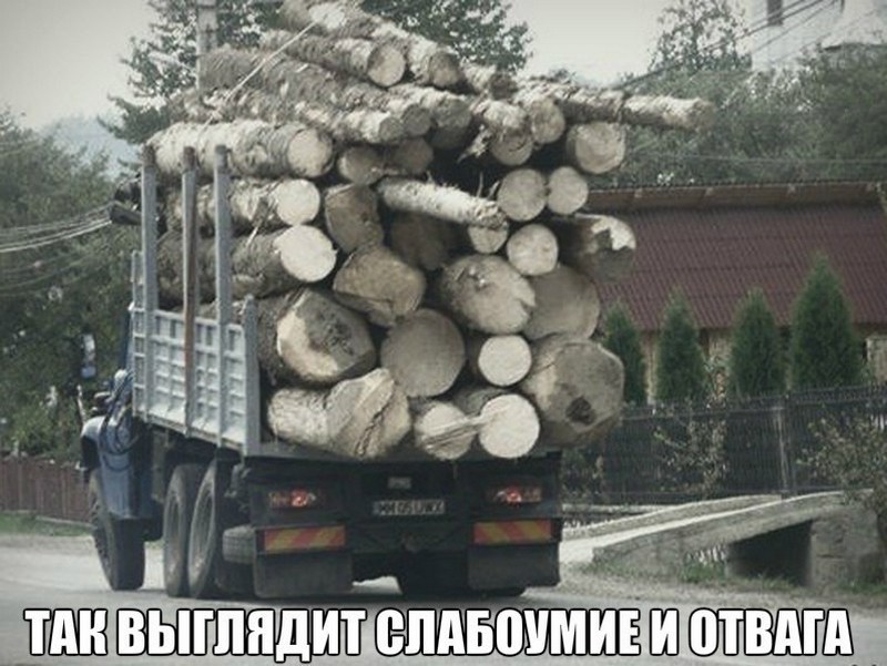 Безумные поступки