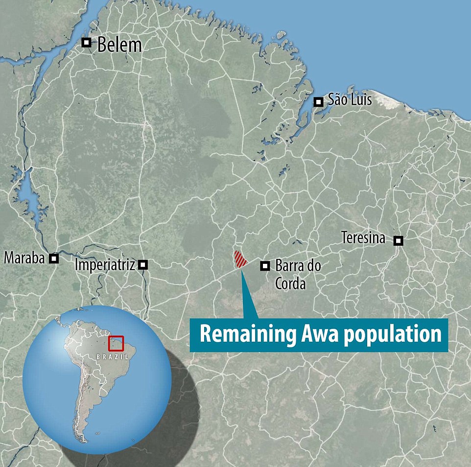Исчезающее племя Ава, женщины которого грудью вскармливают животных