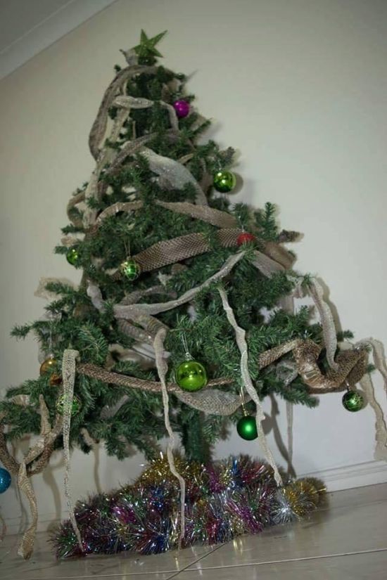 Рождественская елка в Австралии