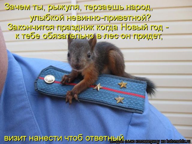 Лучшие котоматрицы недели