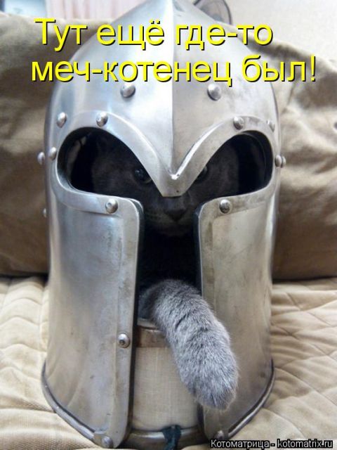 Лучшие котоматрицы недели