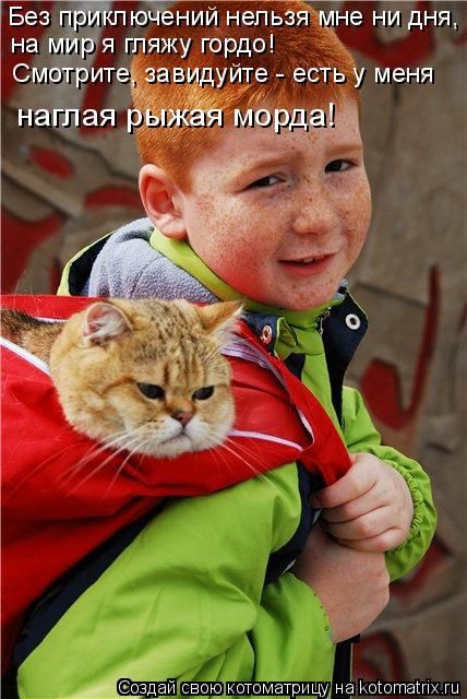 Лучшие котоматрицы недели