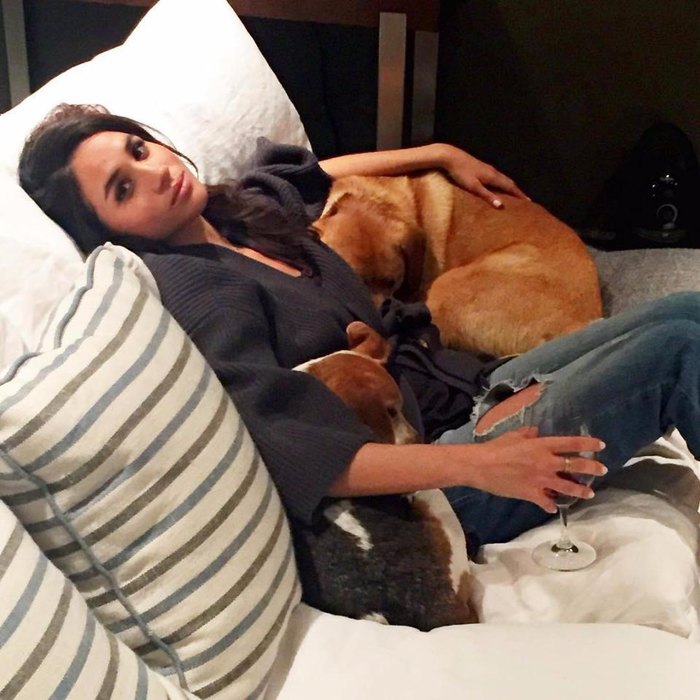 Что будет под запретом для Меган Маркл после свадьбы