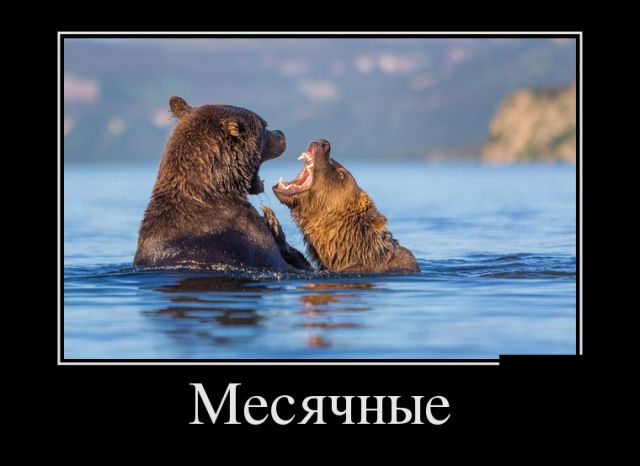 Демотиваторы