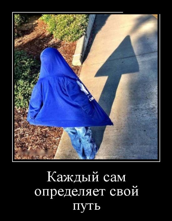 Демотиваторы