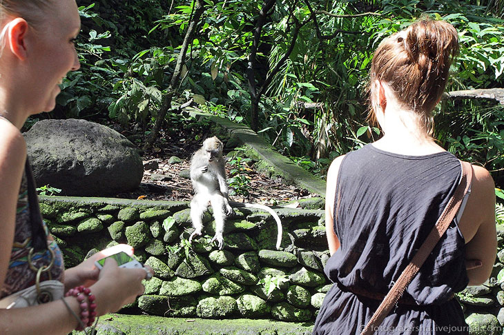 Обезьяний лес на Бали Обезьяний лес на Бали