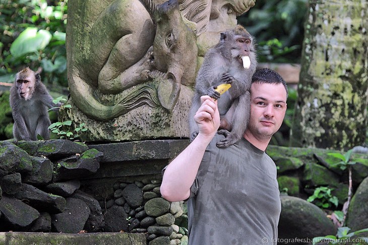 Обезьяний лес на Бали Обезьяний лес на Бали