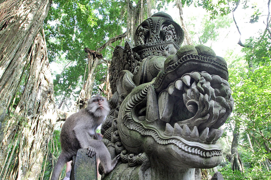Обезьяний лес на Бали Обезьяний лес на Бали