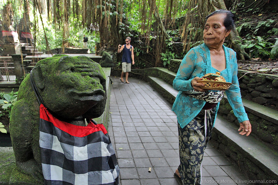 Обезьяний лес на Бали Обезьяний лес на Бали