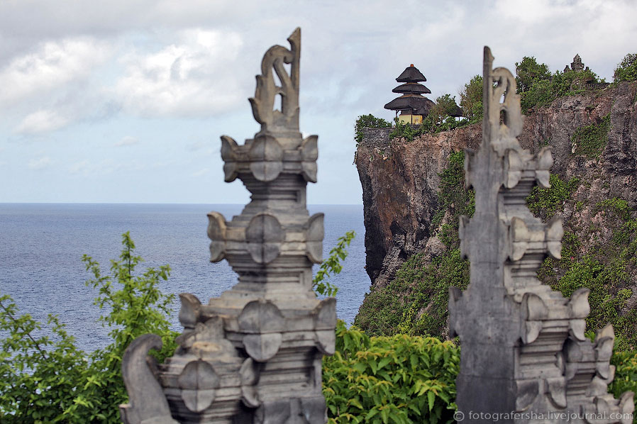 Обезьяний лес на Бали Обезьяний лес на Бали