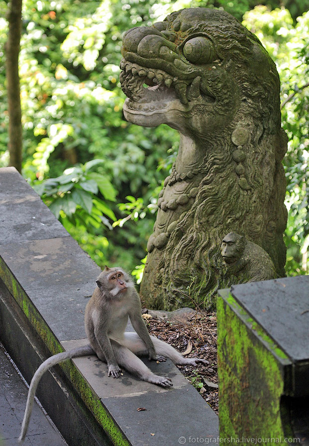 Обезьяний лес на Бали Обезьяний лес на Бали