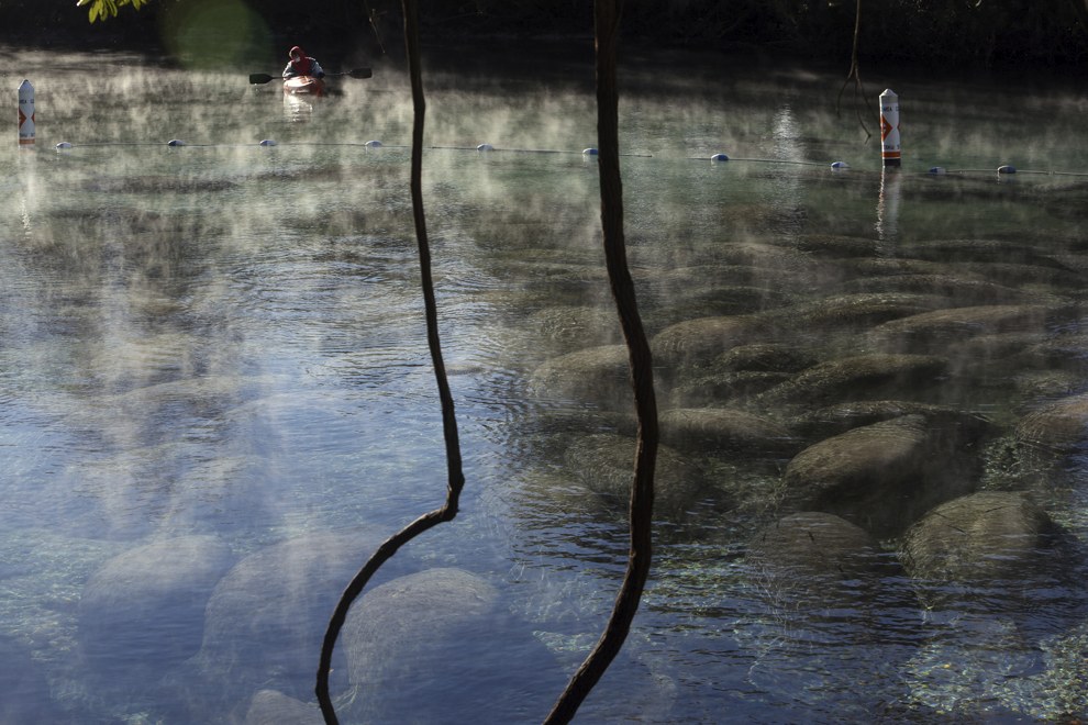 Ледниковый период в США