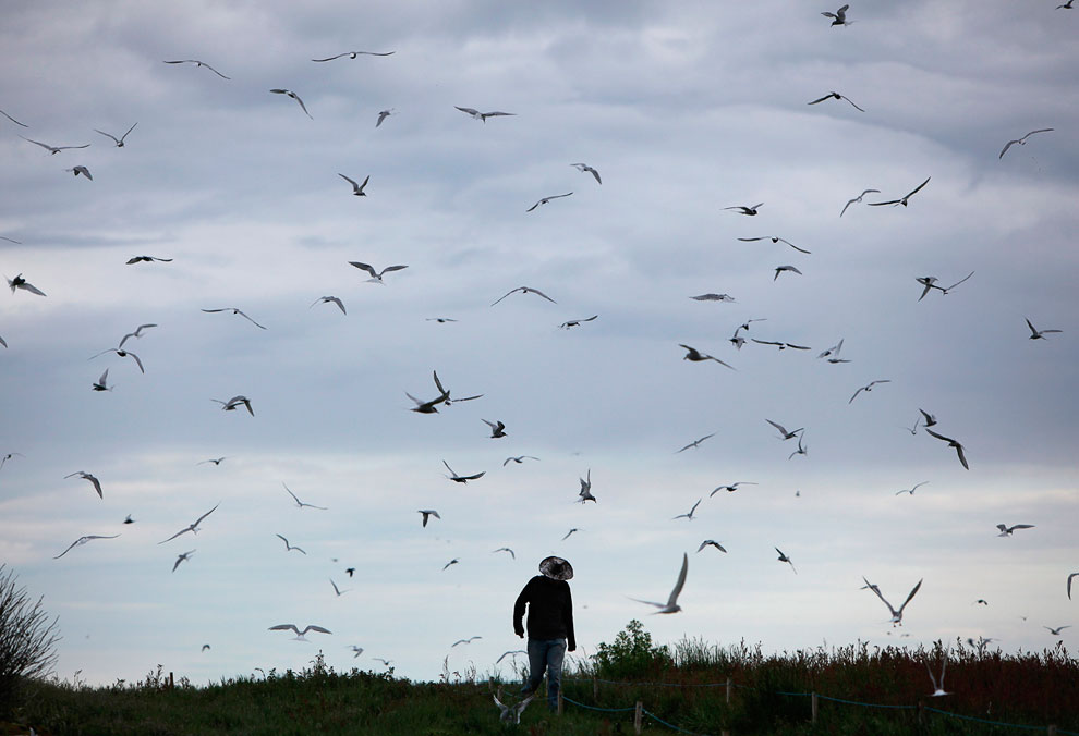 Путешествие на острова Фарн