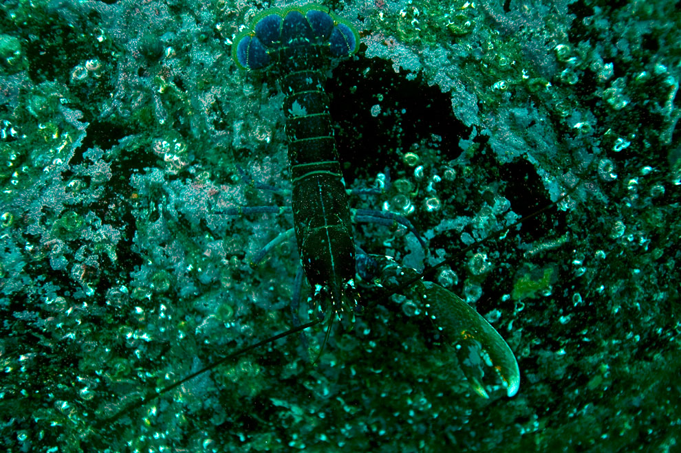 Путешествие на острова Фарн